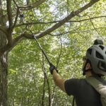 Comment libérer un drone accroché dans un arbre : méthodes efficaces et conseils pratiques - Meilleurs Drones découvrez des méthodes efficaces et des conseils pratiques pour libérer facilement un drone coincé dans un arbre, tout en évitant d'endommager votre appareil.